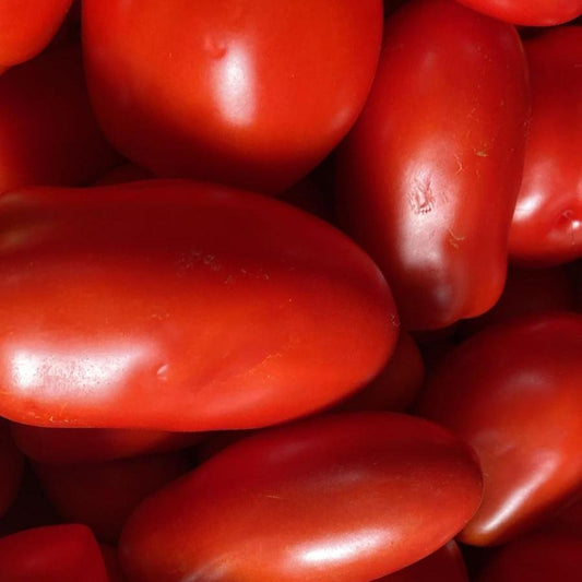 POMODORO SAN MARZANO NANO BIO